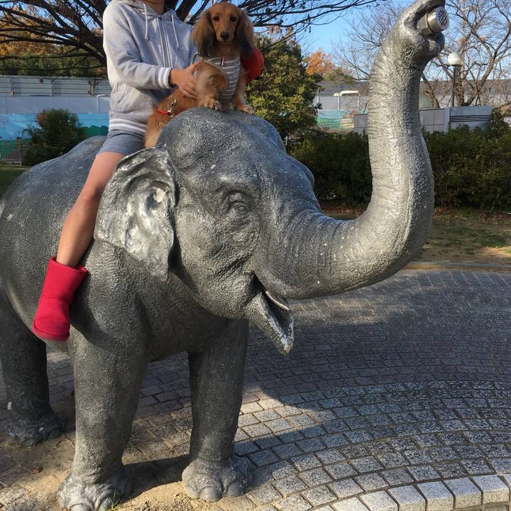 3d34367c 0cab 4dbc b7a4 a6feb346f0ab