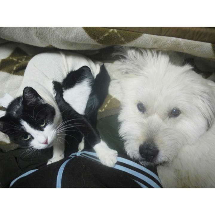 3d34c8da 08d1 41b0 ae15 d083d7a42fe1