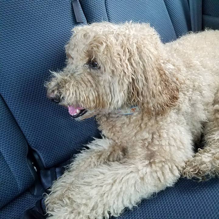 3d357af6 eeb2 4ef2 8b27 f020eb96fe5a