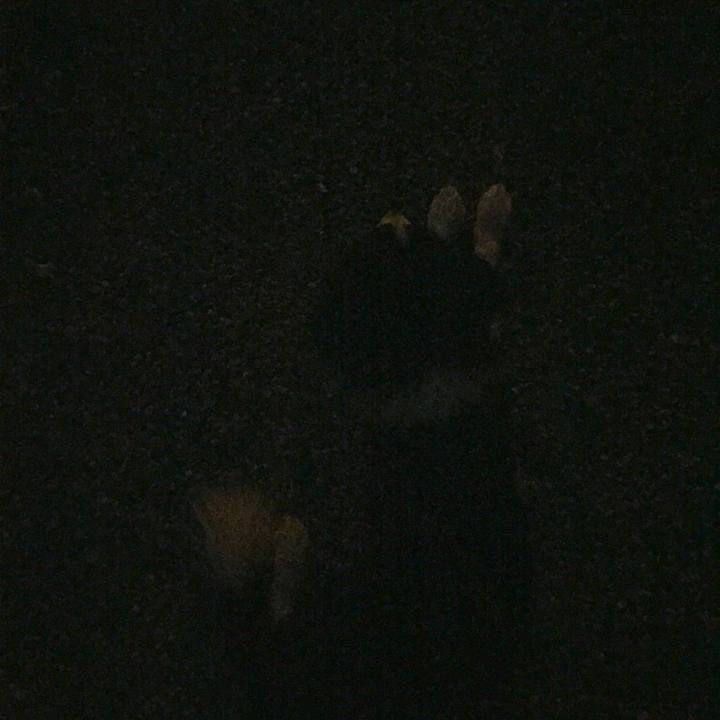 3d35b95d 1d07 43a8 a0ba 848a6db19dd2