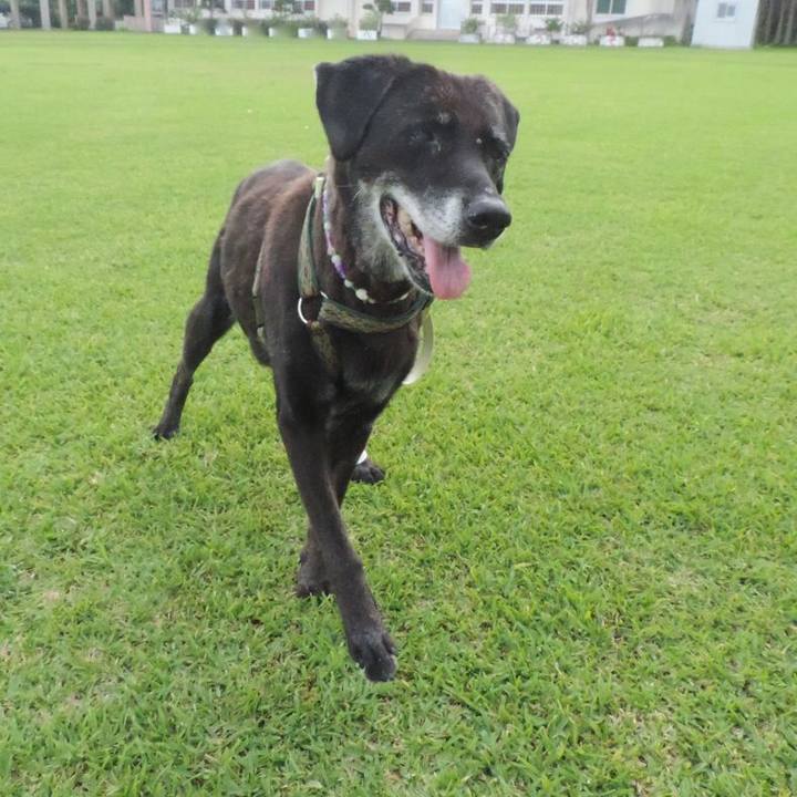 3d35e000 ee5b 4376 8921 998468c9bba0