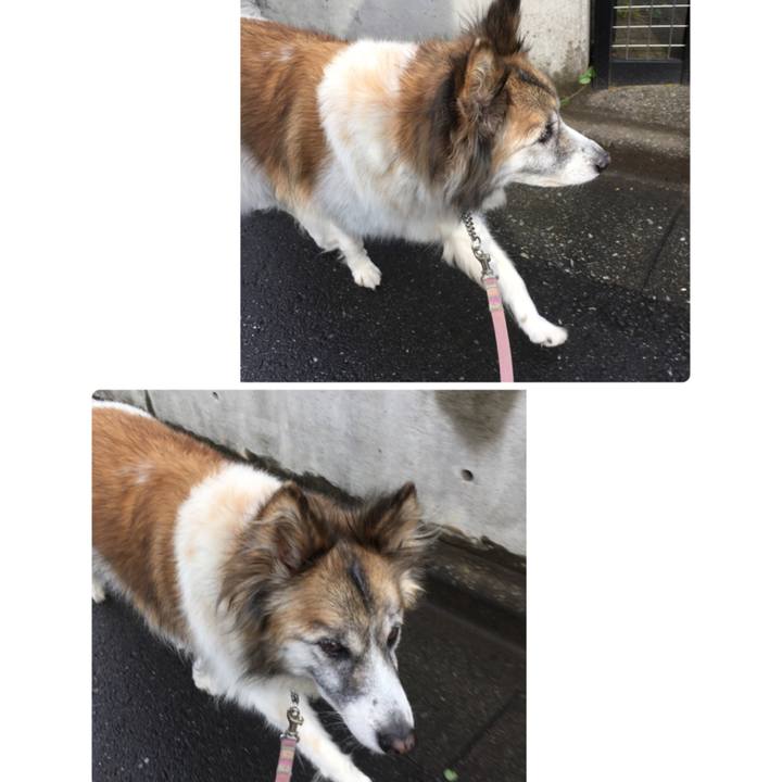 3d35e1d8 28ae 4fb1 8c2a 1fa2a18f61c9