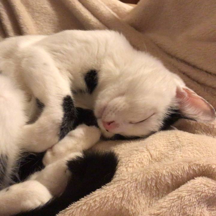 3d36555b 4882 49ab a4d1 afce347751ca