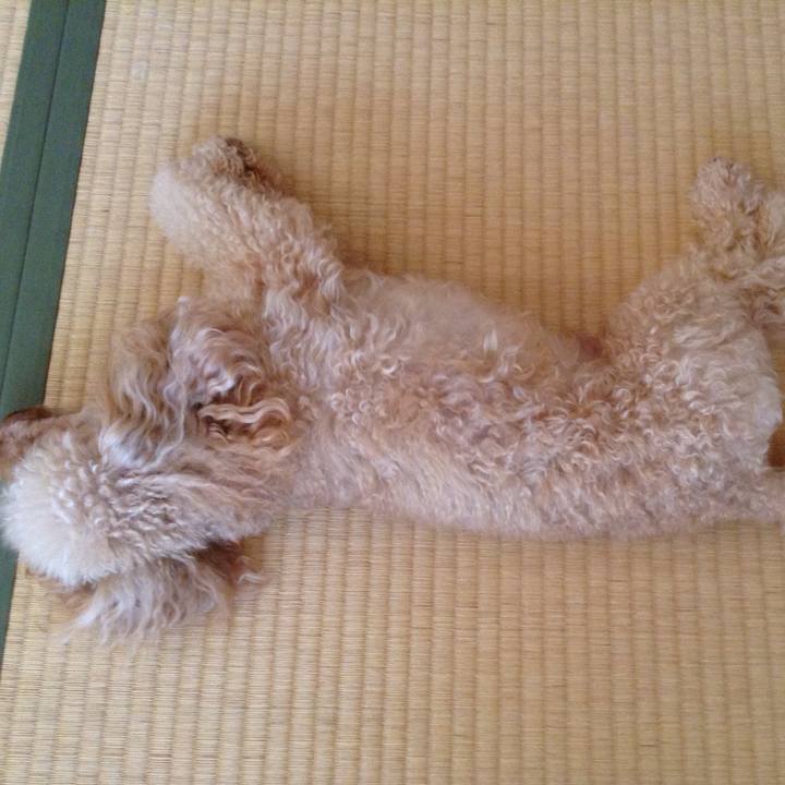 3d36b9e1 5068 4c19 83b9 c90a39188fc2