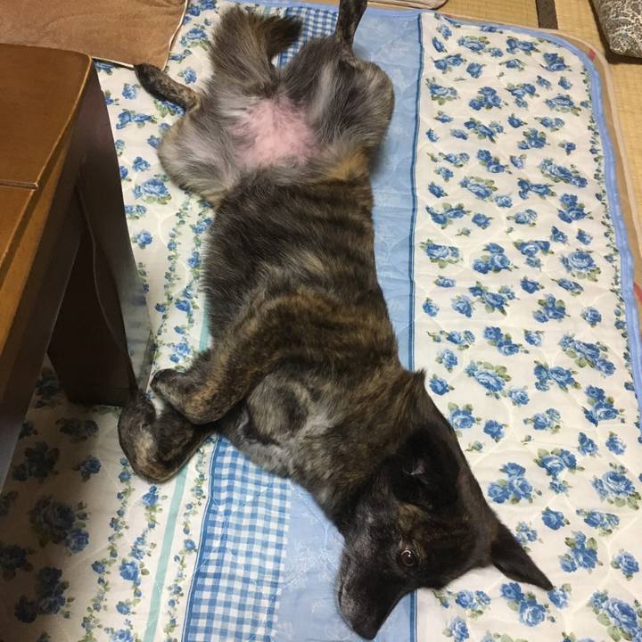 3d36d78f daf4 4fc2 8fba 195691903679