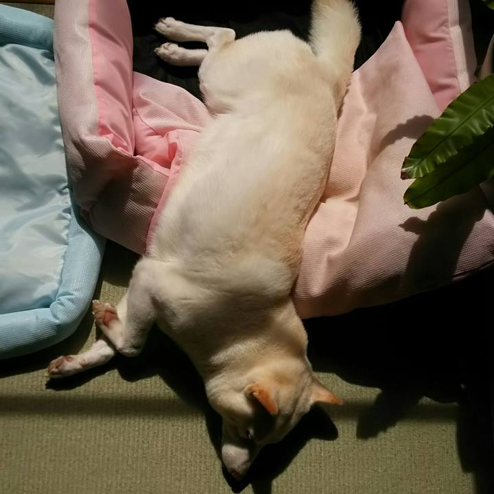 3d373795 2e12 4b7c b761 52c5bbbf935c