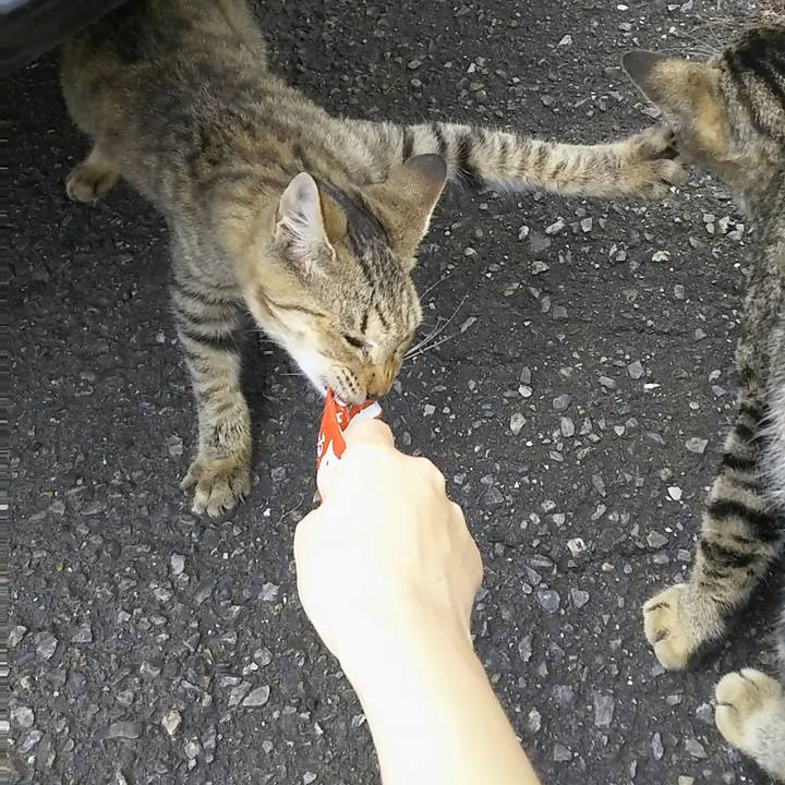 3d3770a7 673b 4b8e a15a 5bd8de6c30d9