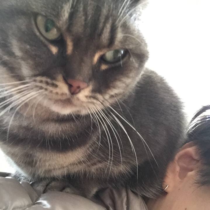 3d378f4b a7f9 4c87 b4aa d6ca351a4306