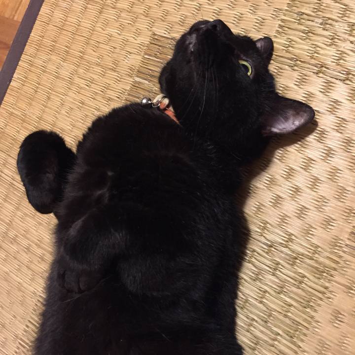 3d37bd9c 3f7b 45df bb39 9a1967fef432