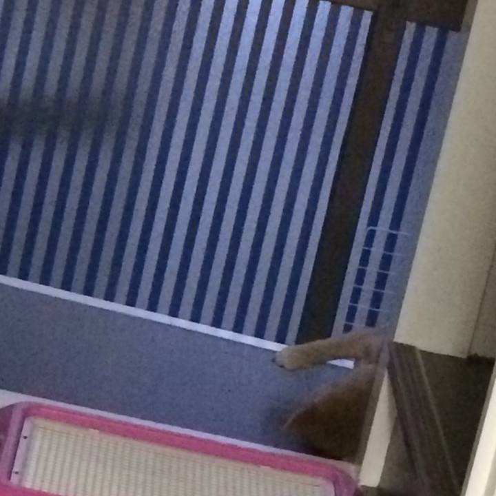 3d389588 ff67 4066 96c0 1ae6b77d2991