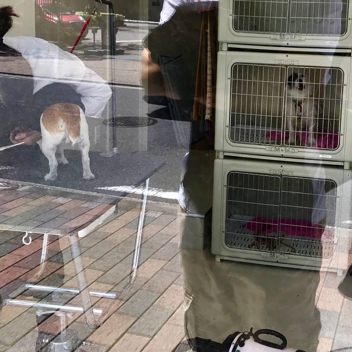 3d38acb1 5948 4d87 a52e a3077f075ab0