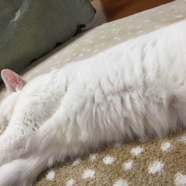 3d3a7627 461e 49c2 9be0 fc0f601f6168