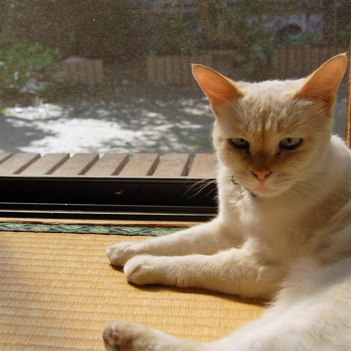 3d3a9624 b340 48a1 b293 49d8687e5bc6