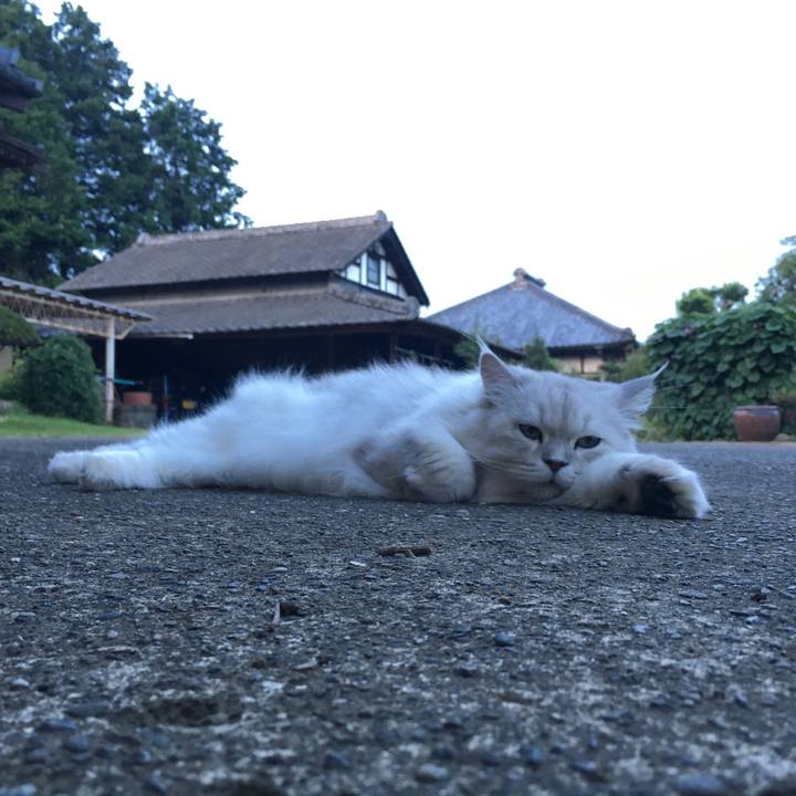 3d3a9ebd 0ab1 4d45 87c2 af53caa40933