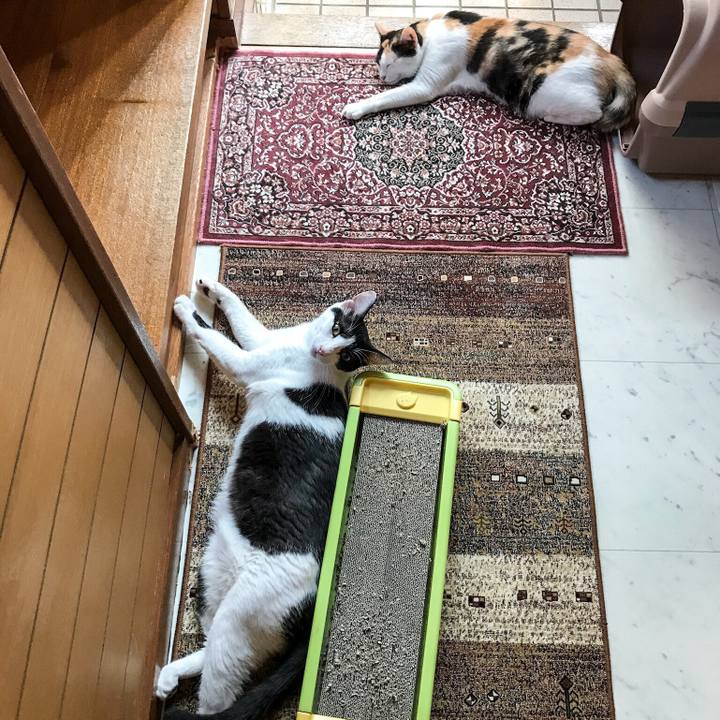 3d3aa42b 4ab0 4421 9b8d e3bc98cc34d8