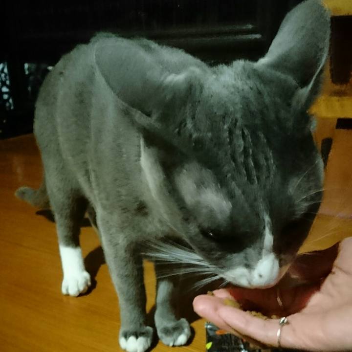 3d3ae4dc 8736 466f 9a03 19935a17eee0