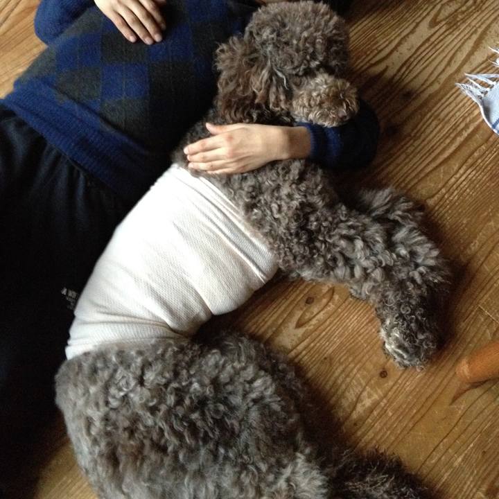 3d3c811f d5cc 4f17 8531 2ebf7c132f4e