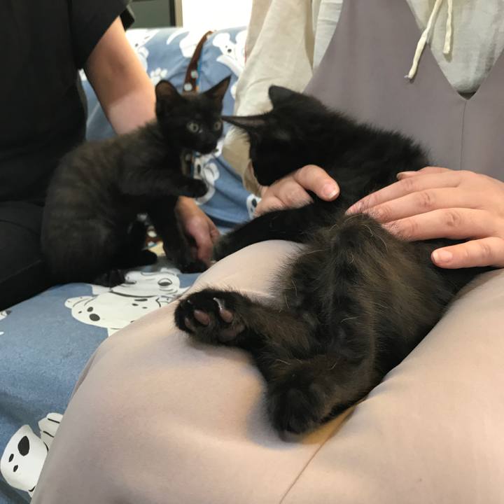 3d3c8c1f 1375 4791 bd04 6e444a0a7d9d