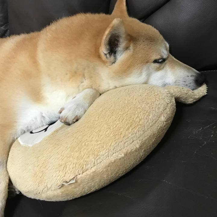 3d3cc03c b2c7 4562 af39 a15ef0061202