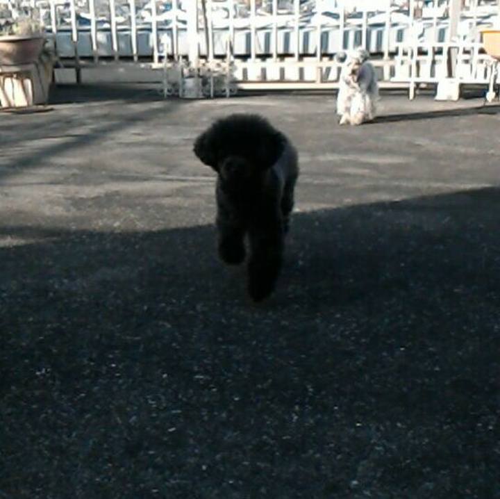 3d3cf191 51cb 4eb7 a7a0 d5e0a7286d99