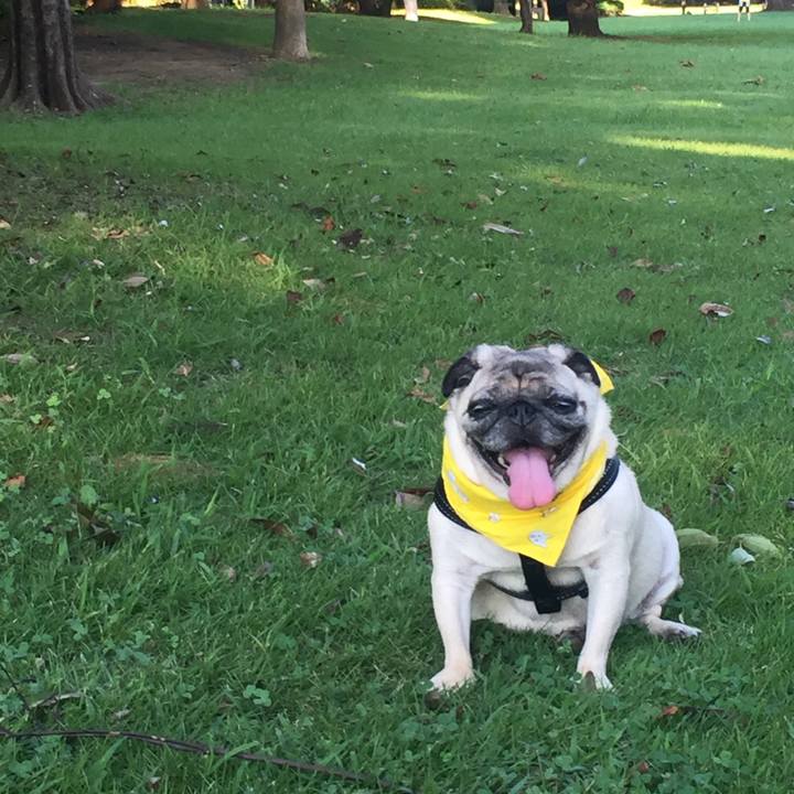 3d3d0817 1746 493e a0b6 e03177531cd7