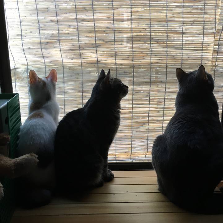 3d3d8a9d 6a6a 48a2 851e ba77777c2d4b