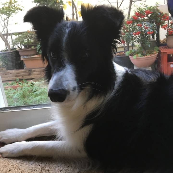 3d3e2f82 98ff 444c b74e 6a75222987a2