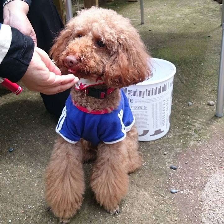 3d3e328f 2d47 4fe3 818b 4b2ee8960824