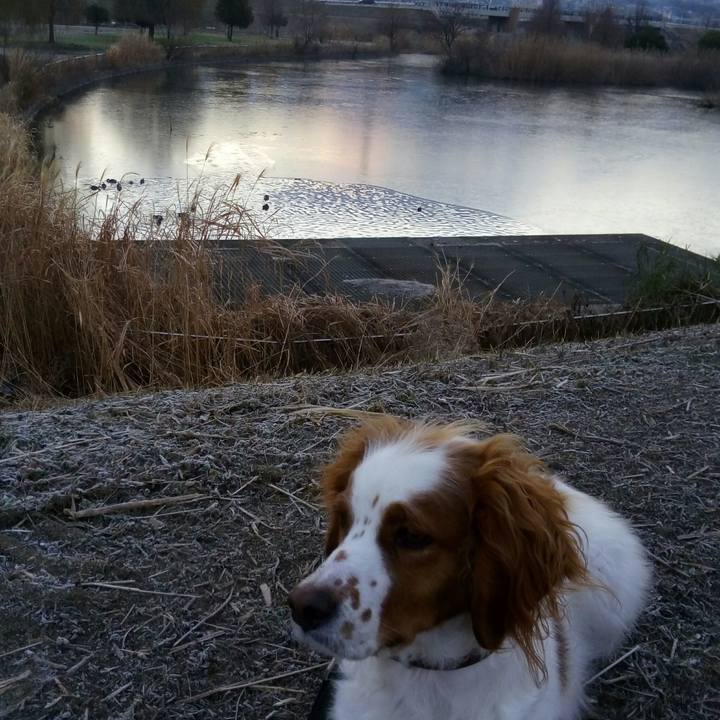 3d3eb9c1 4a82 458e ae9a 94457e86fb8b