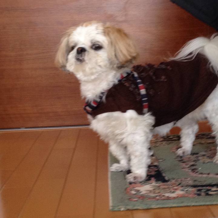 3d3f0446 9ac6 45f6 96d8 c89588bb633f