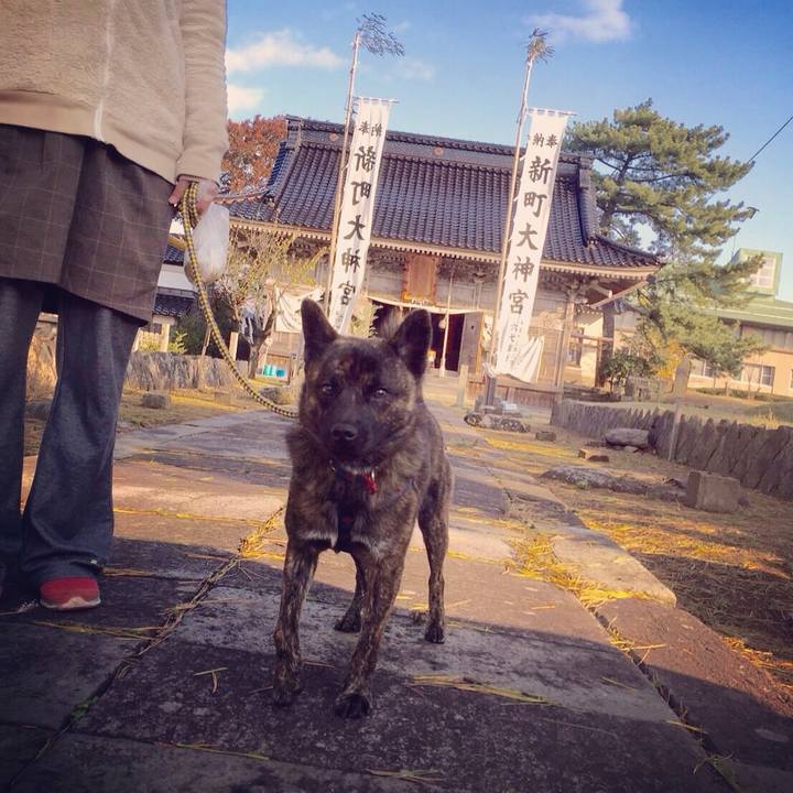 3d3f2c30 dbdb 414d 9041 0ce190fe8667