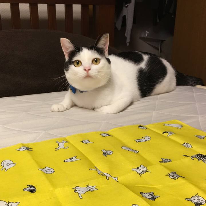 3d3f6869 5487 4cbe b8a9 ae7d856fc331