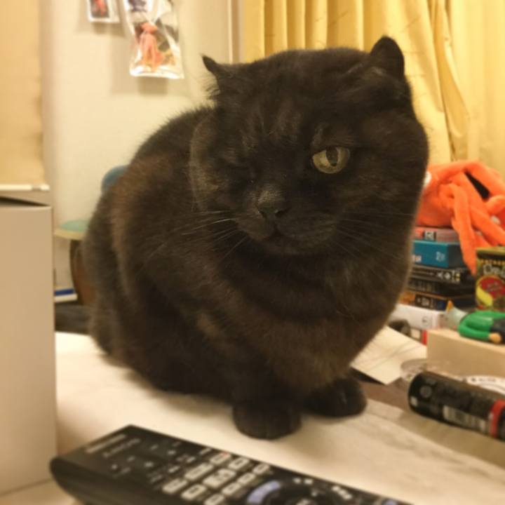 3d3f894a 4bb4 405a 81de cbf8a4d53c66