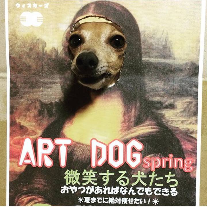 3d3fbf9e 1431 41ad 924e 32770447c594