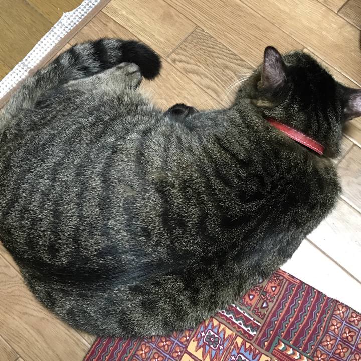 3d401fa3 156a 45e2 b4d1 597954e136c3