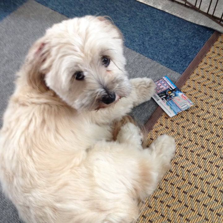 3d40d693 c1ad 4442 98e4 7d17403d5f12