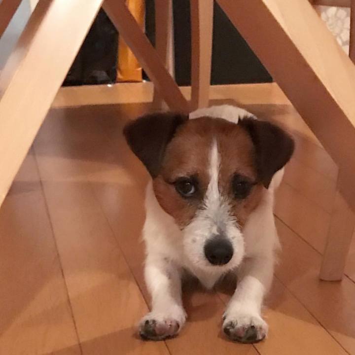 3d411a50 8e4c 4ad7 b19e fc09bce16404