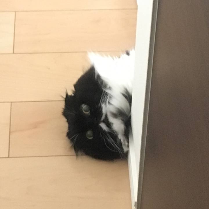 3d4129e2 e370 4363 a891 7e547e87cd15