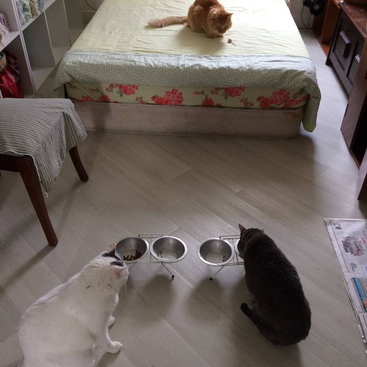 3d414604 04c7 4b57 acc5 95bc9aef0125