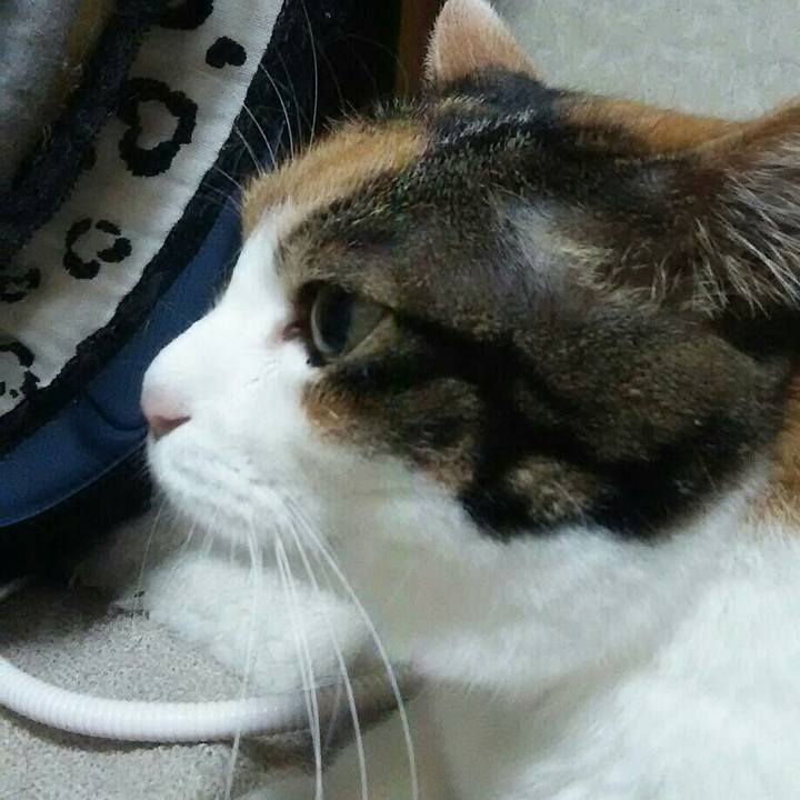 3d419af7 7620 4e0b ac3b f881482d432c