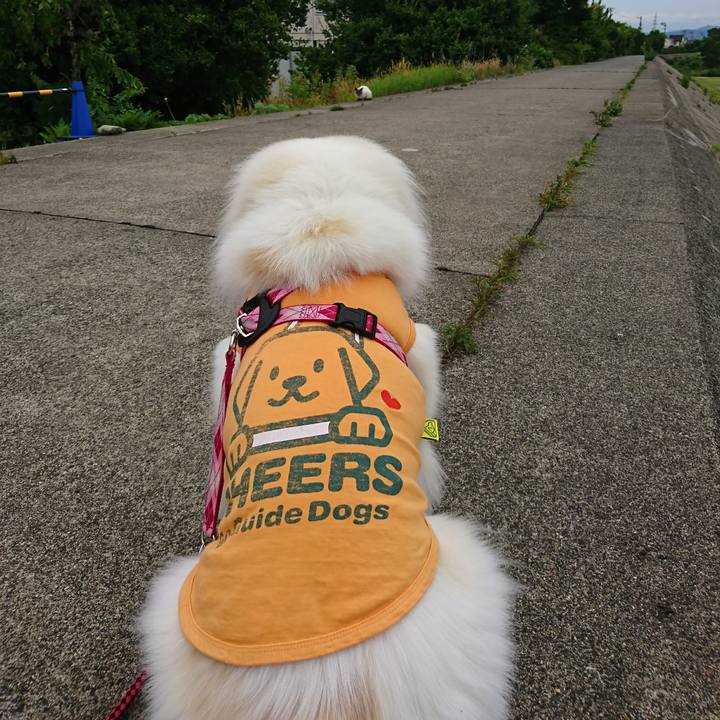 3d42e164 8e7d 482e 892d 154a74fb6cfa