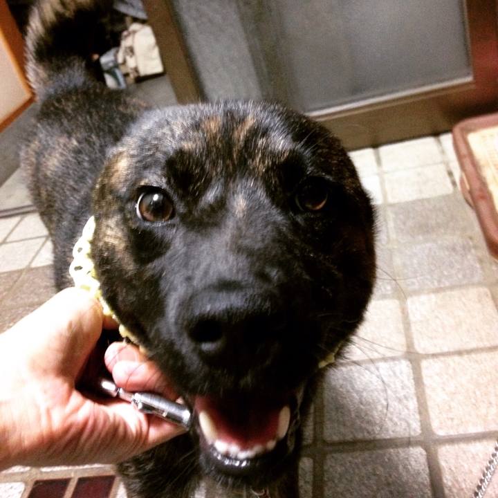 3d431a8e 10e2 428b a76a 9162b95aaf30