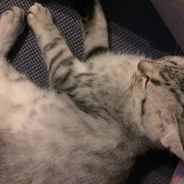 3d43e77d 4648 4fbb 975d 01e50170f9e3