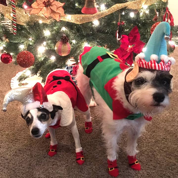 3d447600 9048 4502 b8c2 01c4f80b6f5a