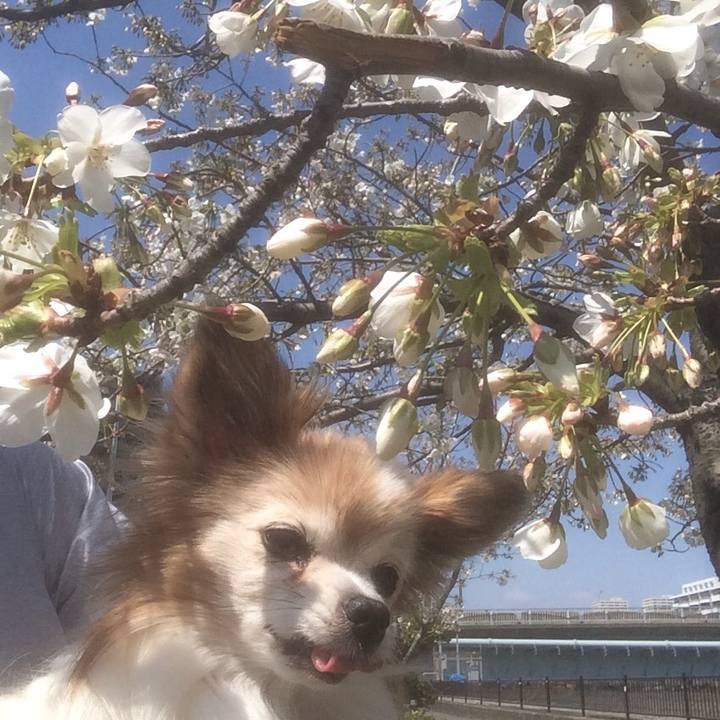 3d44c430 7211 4aa4 89b2 f68b73892790