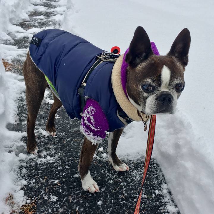 3d460243 55af 4960 8fda 98ba0ad9178e