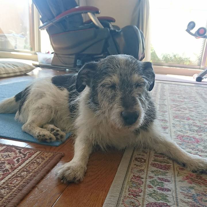 3d4602f8 0dde 48a4 95ca d19e08fe5498