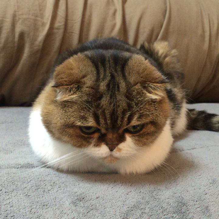 3d4619e5 8d0a 4a42 ba5a c274f7d4a599