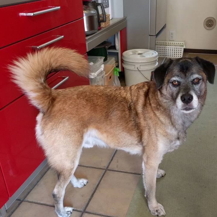 3d4624dd 2a65 44ad b1aa e6ee76089888