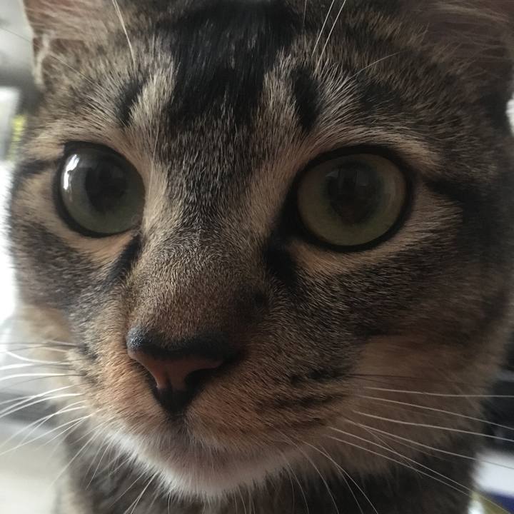 3d46d972 5dc3 4ebb 8f2f 3ef211c67812